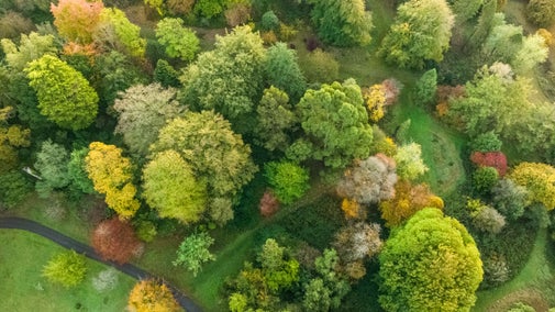 Aerial view of the Arboretum at Dyffryn Gardens, Wales, in October